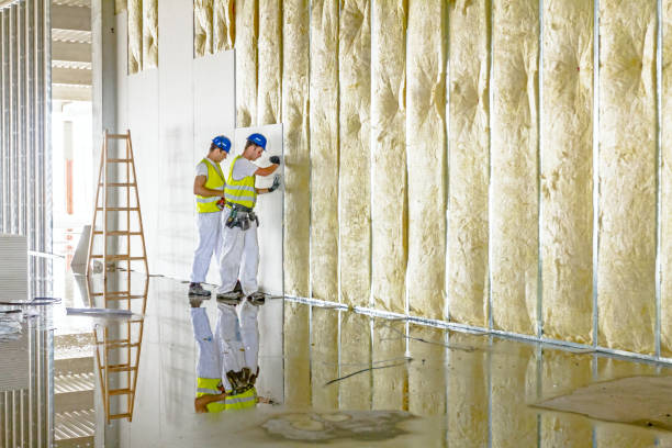 Best Energy Efficiency Insulation in Sussex, NJ